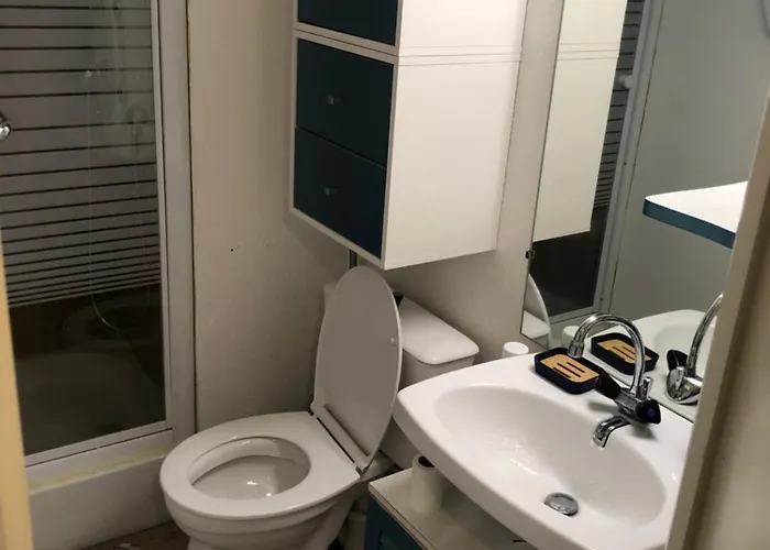 アパート Tourmalet, 2 A 4 Couchages, Pied De Pistes, Station De *