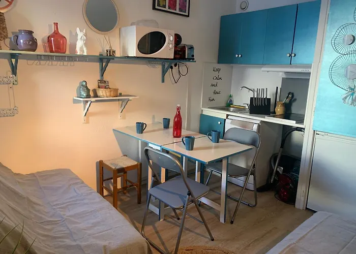 Tourmalet, 2 A 4 Couchages, Pied De Pistes, Station De アパート